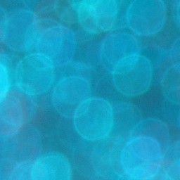 Bokeh-446